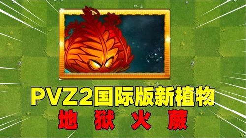 爆料地狱火蕨最新视频,揭秘植物界的奇异现象 第3张 爆料地狱火蕨最新视频,揭秘植物界的奇异现象 第3张